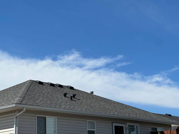 Best Gutter Installation and Repair  in Huntington, TX